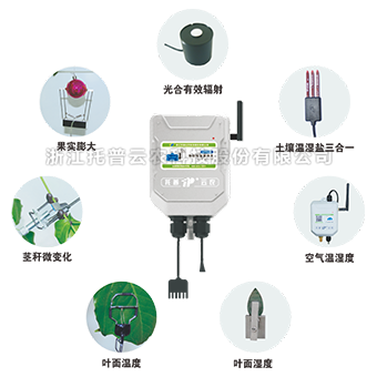 植物生理生态监测系统