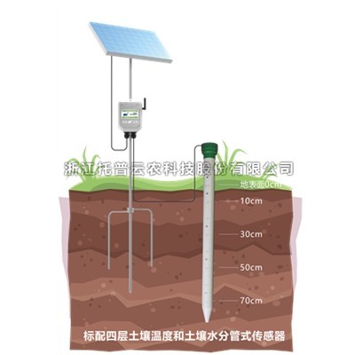 管式芭乐视频免费下载墒情自动监测仪介绍