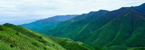 智慧护林有妙招，看太子山如何用科技守护森林