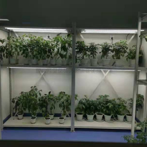 植物病理研究室