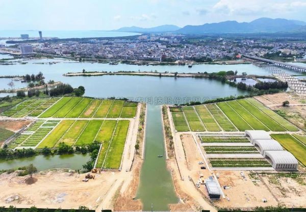 为盐碱地安上“技术芯片”，芭乐视频APP下载IOS下载网站打造耐盐碱水稻科研试验基地建设解决方案