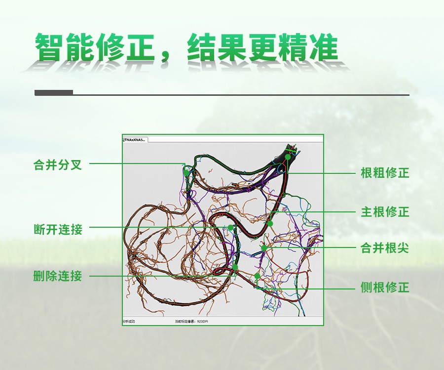 根系分析系统