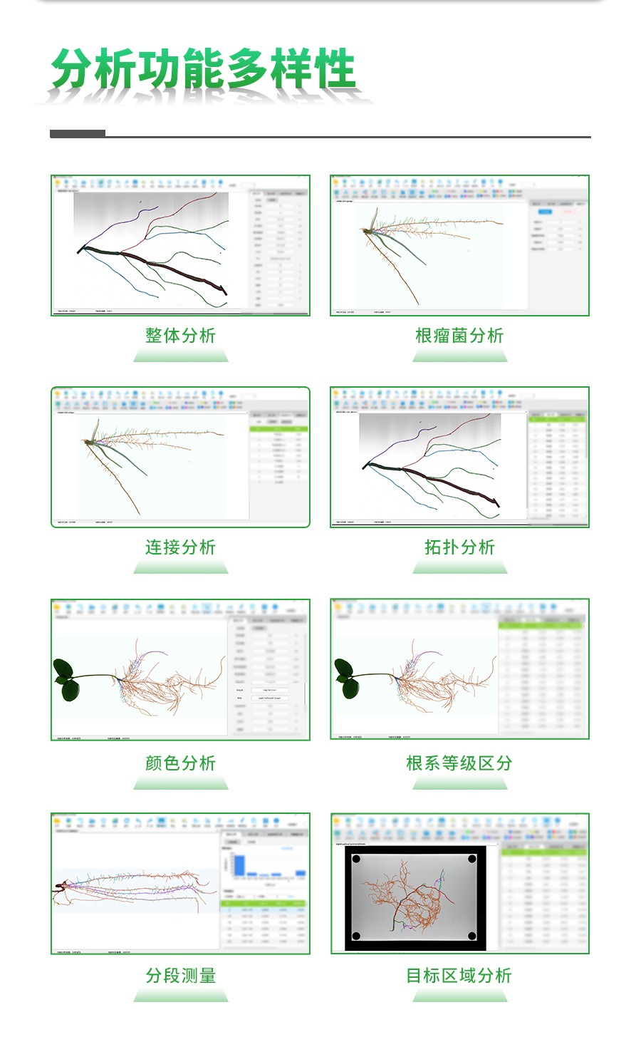 根系分析系统